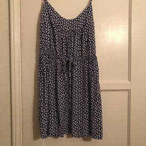 Blue and White Dress